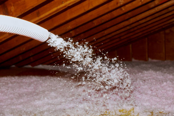 Best Residential Insulation in Manchester, IA