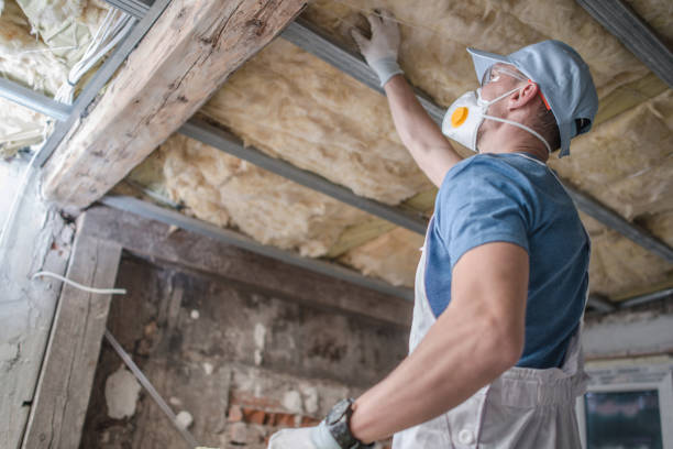 Best Fiberglass Insulation in Manchester, IA