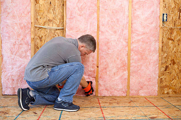 Best Specialized Insulation Services in Manchester, IA